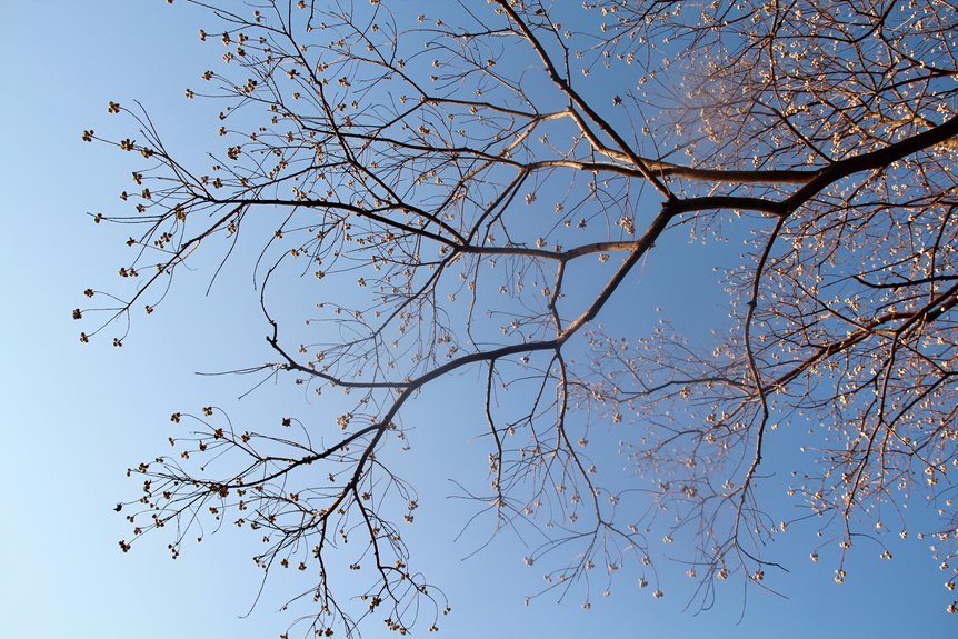 corporate growth strategy analysis