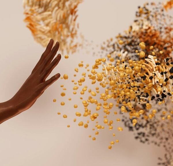 governance brief for executives